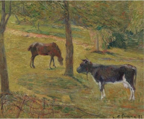 Vache Et Cheval Dans Un Pre